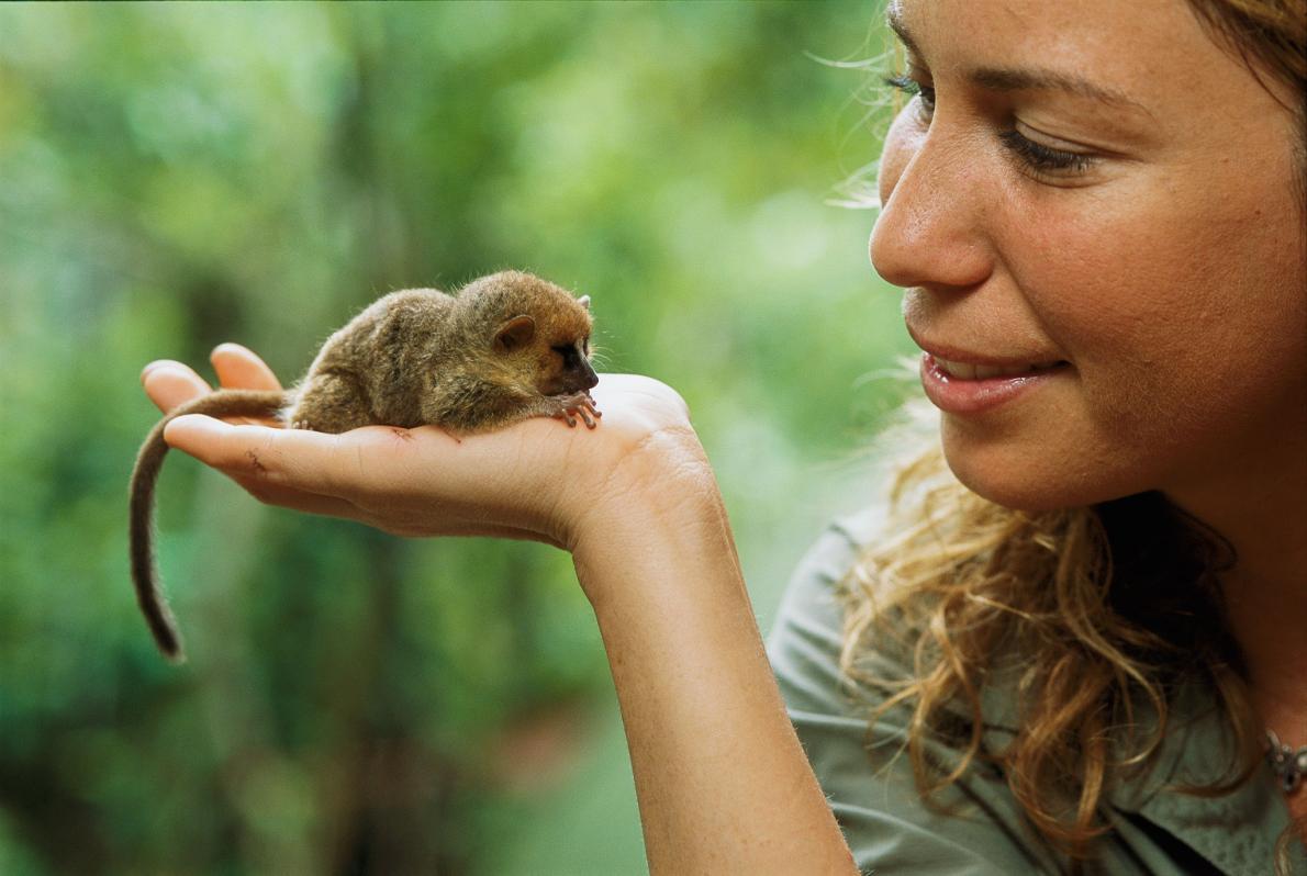 The World's Smallest Animals Part 1